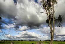 678官网：中国女足首款徽宝广州首发，前国脚盼“铿锵玫瑰”在世界杯展现最好的自己.