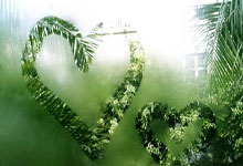 678体育:20-21賽季意甲聯賽第36輪比賽集錦.