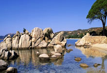 678体育官网:“一校一品” 以体育人|贵州省体育传统特色学校注重学生协调发展.